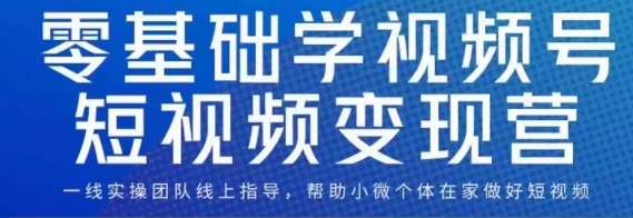0基础学视频号短视频变现，适合新人学习的短视频变现课-副业网