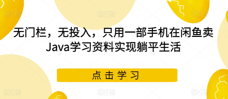 无门栏，无投入，只用一部手机在闲鱼卖Java学习资料实现躺平生活【揭秘】-副业网
