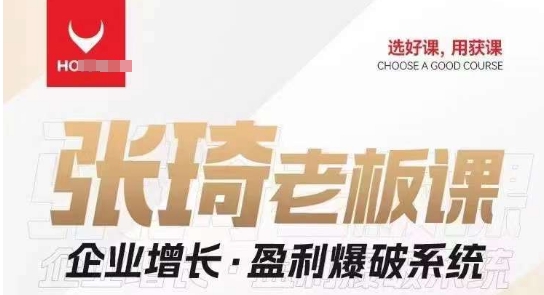 【组合课】张琦张琦老板企业增长·盈利爆破系统（直播专享）-副业网