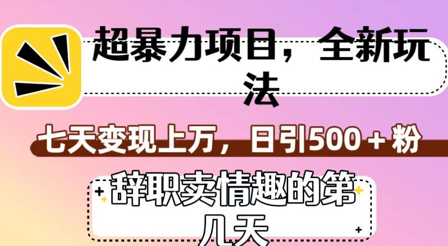超暴利项目，全新玩法（辞职卖情趣的第几天），七天变现上万，日引500+粉【揭秘】-副业网