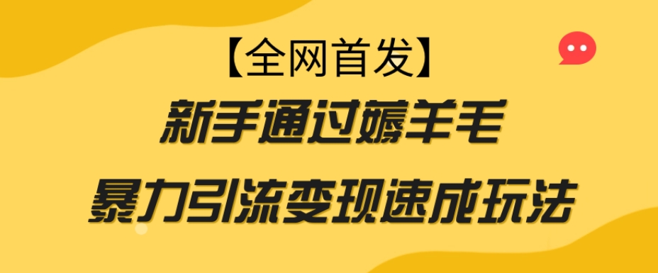 【全网首发】新手通过薅羊毛暴力引流变现速成玩法-副业网