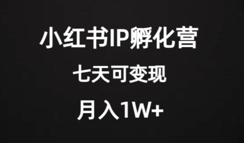 价值2000+的小红书IP孵化营项目，超级大蓝海，七天即可开始变现，稳定月入1W+-副业网