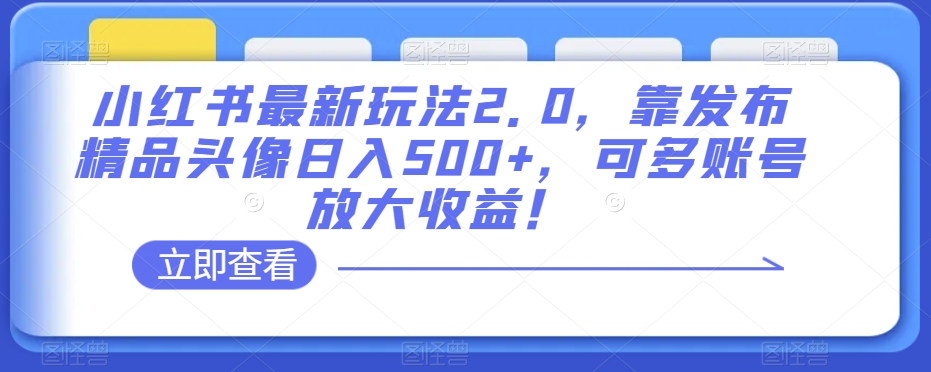 小红书最新玩法2.0，靠发布精品头像日入500+，可多账号放大收益！【揭秘】-副业网