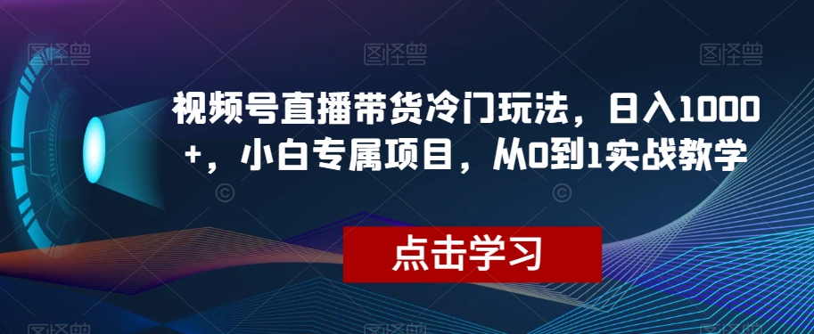 视频号直播带货冷门玩法，日入1000+，小白专属项目，从0到1实战教学【揭秘】-副业网