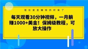 每天观看30分钟视频，一月躺赚1000+美金！保姆级教程，可放大操作【揭秘】-副业网