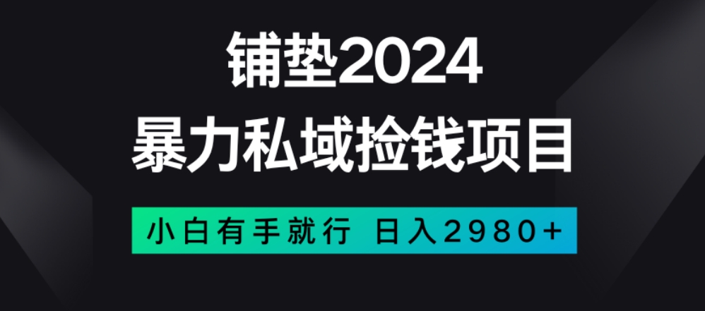 暴力私域捡钱项目，小白无脑操作，日入2980【揭秘】-副业网