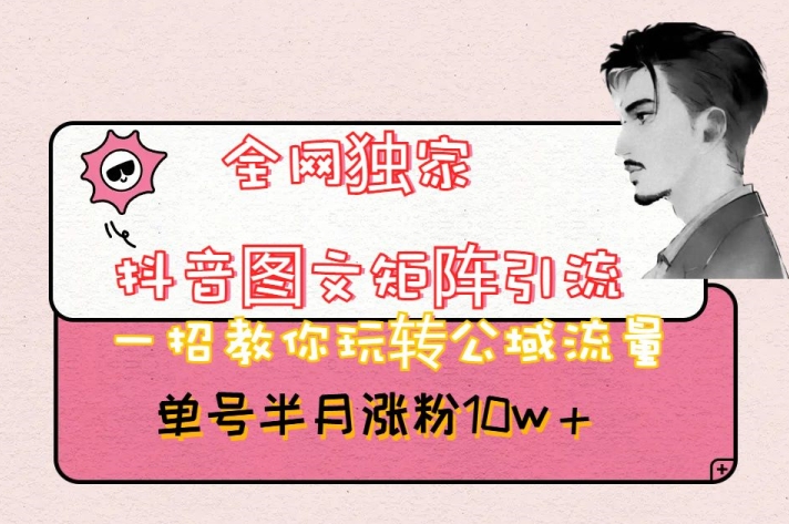 全网独家抖音图文矩阵引流，一招教你玩转公域流量，单号半月涨粉10w+【揭秘】-副业网