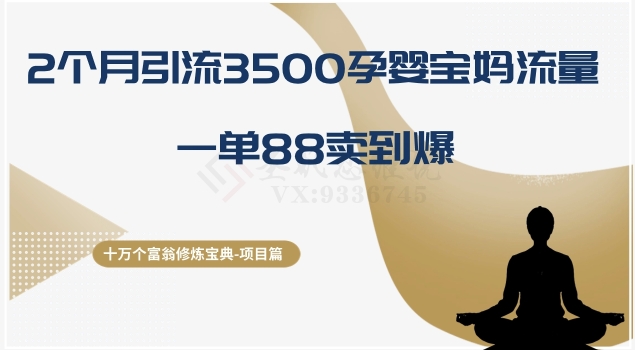 十万个富翁修炼宝典之13.2个月引流3500孕婴宝妈流量，一单88卖到爆-副业网
