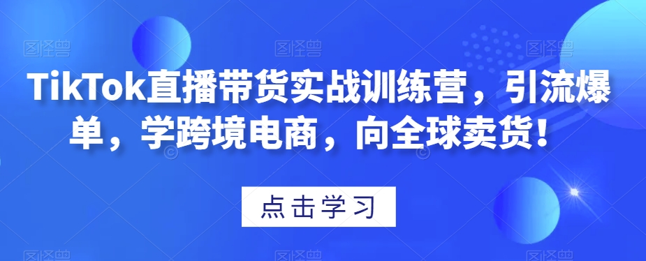 TikTok直播带货实战训练营，引流爆单，学跨境电商，向全球卖货！-副业网