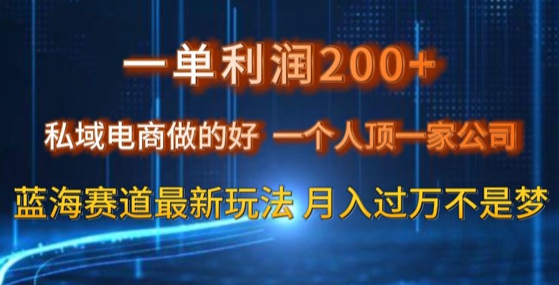 一单利润200私域电商做的好，一个人顶一家公司蓝海赛道最新玩法【揭秘】-副业网