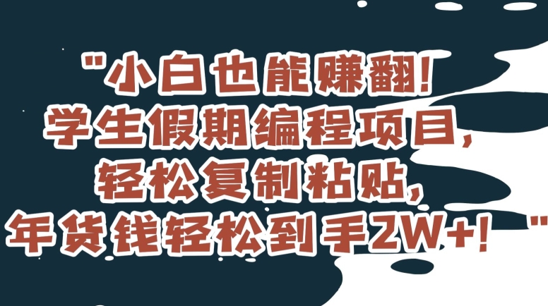 小白也能赚翻！学生假期编程项目，轻松复制粘贴，年货钱轻松到手2W+【揭秘】-副业网