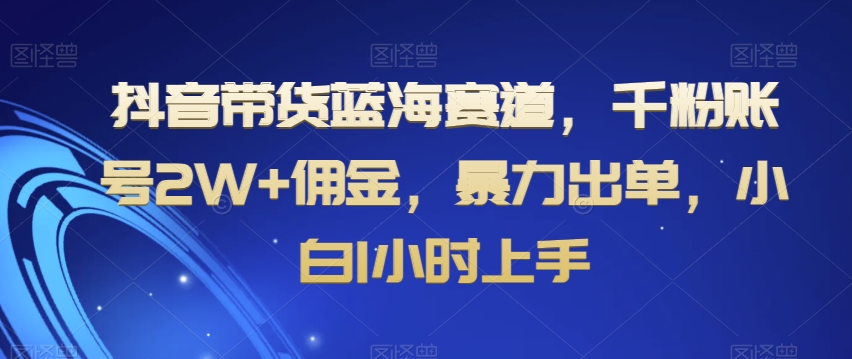抖音带货蓝海赛道，千粉账号2W+佣金，暴力出单，小白1小时上手【揭秘】-副业网