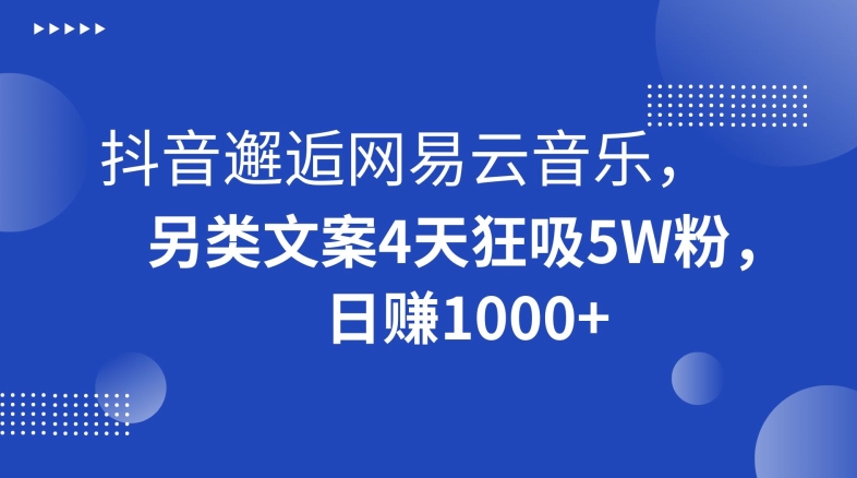 抖音邂逅网易云音乐，另类文案4天狂吸5W粉，日赚1000+【揭秘】-副业网