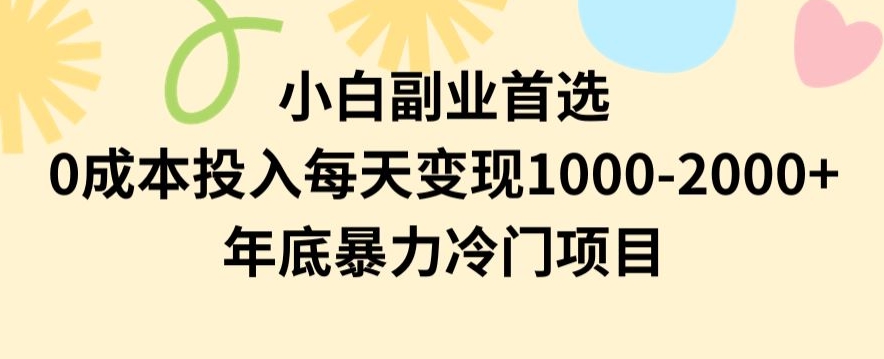 小白副业首选，0成本投入，每天变现1000-2000年底暴力冷门项目【揭秘】-副业网
