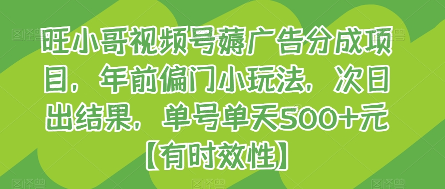 旺小哥视频号薅广告分成项目，年前偏门小玩法，次日出结果，单号单天500+元【有时效性】-副业网