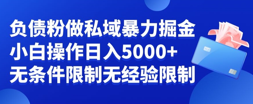 负债粉私域暴力掘金，小白操作入5000，无经验限制，无条件限制-副业网