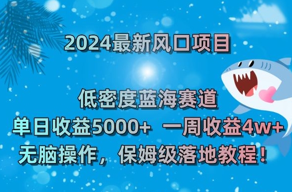 2024最新风口项目，低密度蓝海赛道，单日收益5000+，一周收益4w+！-副业网
