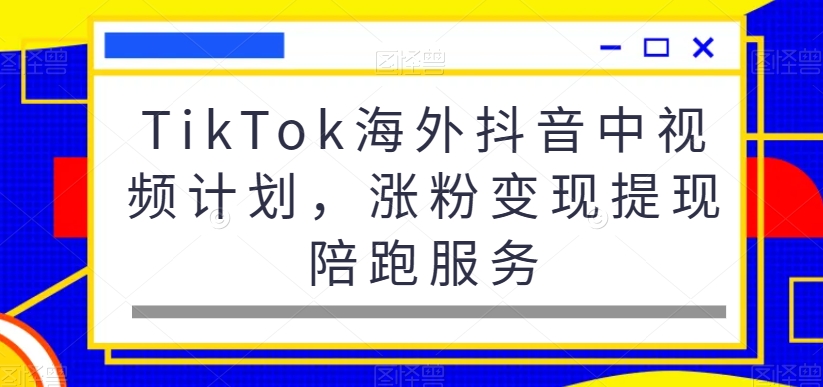 TikTok海外抖音中视频计划，涨粉变现提现陪跑服务-副业网