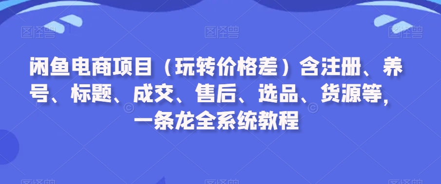 闲鱼电商项目（玩转价格差）含注册、养号、标题、成交、售后、选品、货源等，一条龙全系统教程-副业网