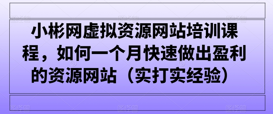 小彬网虚拟资源网站培训课程，如何一个月快速做出盈利的资源网站（实打实经验）-副业网