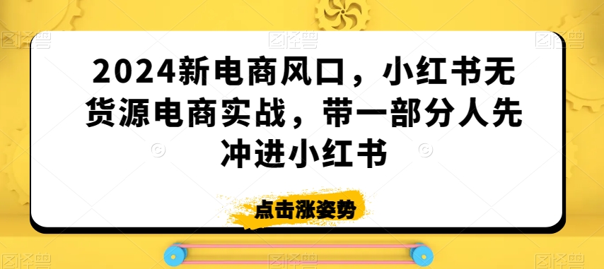 2024新电商风口，小红书无货源电商实战，带一部分人先冲进小红书-副业网