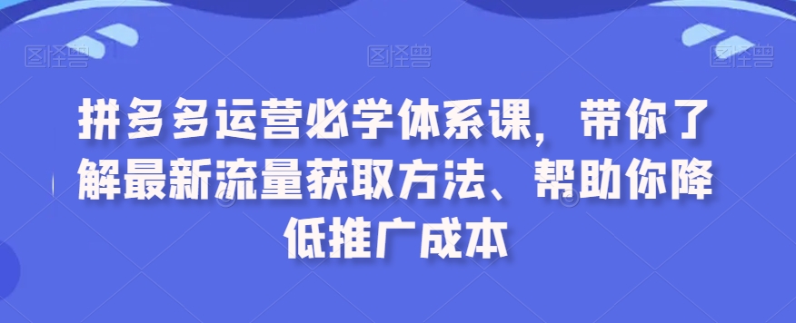 拼多多运营必学体系课，带你了解最新流量获取方法、帮助你降低推广成本-副业网