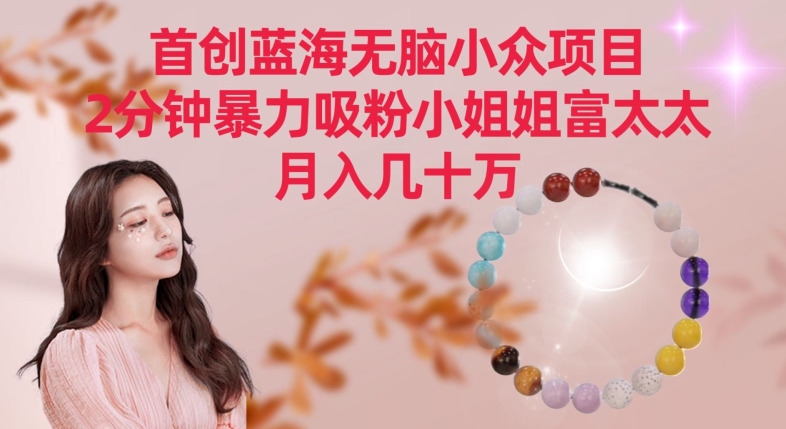 首创蓝海无脑小众项目，2分钟暴力吸粉小姐姐富太太，月入几十万-副业网
