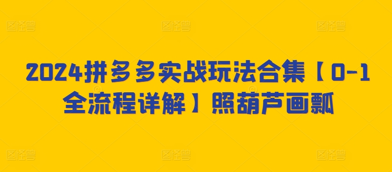 2024拼多多实战玩法合集【0-1全流程详解】照葫芦画瓢-副业网
