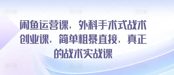 闲鱼运营课，外科手术式战术创业课，简单粗暴直接，真正的战术实战课-副业网