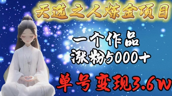 天选之人炼金项目，一个作品涨粉5000+，单号变现3.6w-副业网