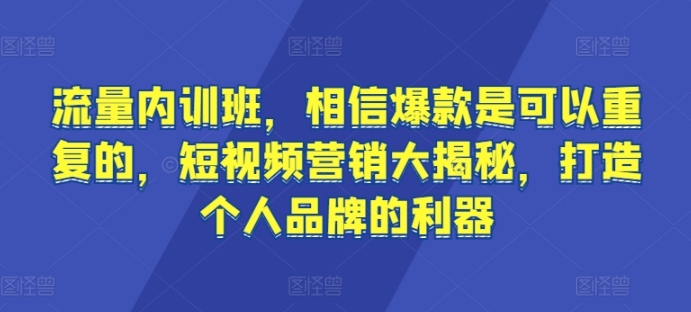 流量内训班，相信爆款是可以重复的，短视频营销大揭秘，打造个人品牌的利器-副业网
