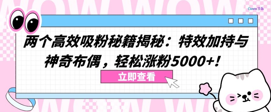 两个高效吸粉秘籍揭秘：特效加持与神奇布偶，轻松涨粉5000+-副业网