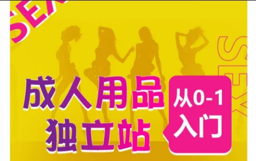 成人用品独立站从0-1入门，成品独立站运营全流程教学，七大好卖成品独立站推荐-副业网