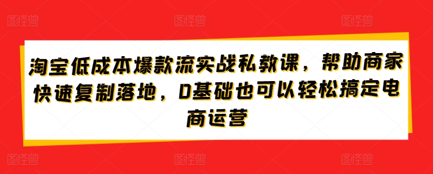 淘宝低成本爆款流实战私教课，帮助商家快速复制落地，0基础也可以轻松搞定电商运营-副业网