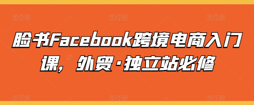 脸书Facebook跨境电商入门课，外贸·独立站必修-副业网