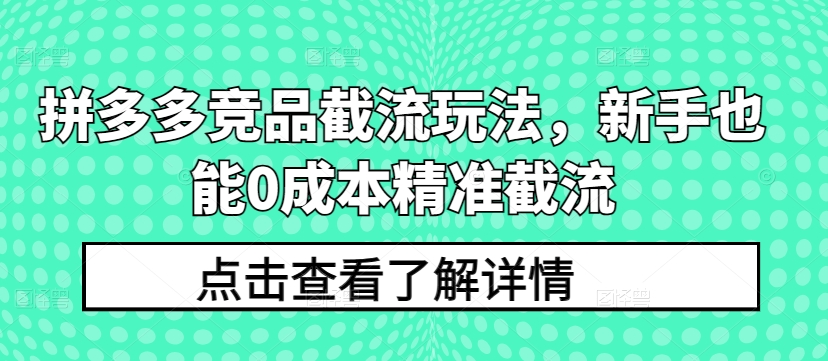拼多多竞品截流玩法，新手也能0成本精准截流-副业网