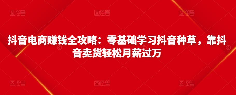 抖音电商赚钱全攻略：零基础学习抖音种草，靠抖音卖货轻松月薪过万-副业网
