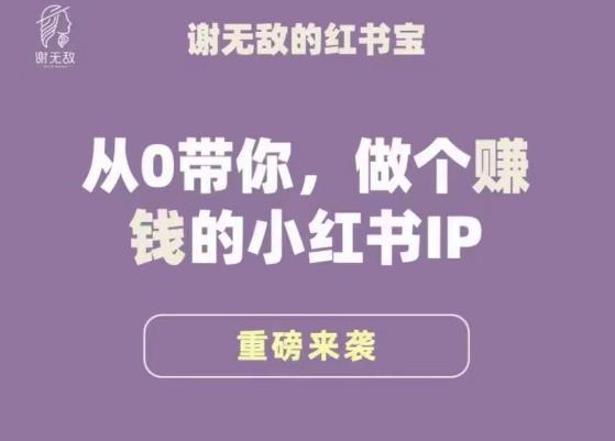 谢无敌·小红书运营大宝典，从0带你做个赚钱的小红书IP-副业网