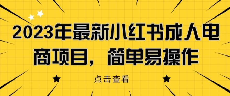 2023年最新小红书成人电商项目，简单易操作【详细教程】【揭秘】-副业网