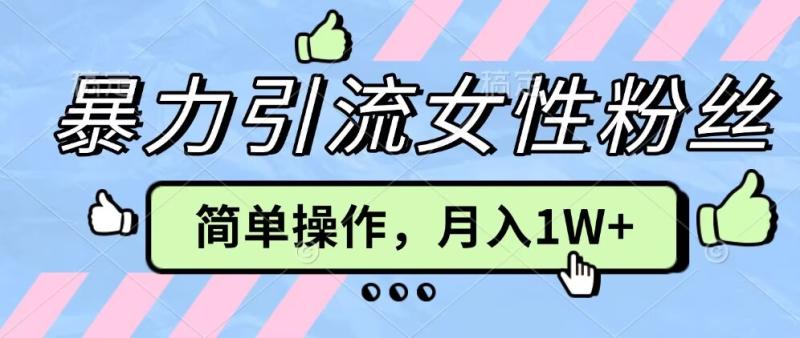 操作“零难度”小众项目,疯狂引流女性粉丝,月入轻松破 1W+-副业网