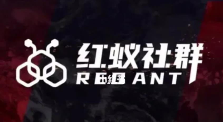 社群运营：红蚁社群【48节落地系统课程+2000人高端社群】-副业网