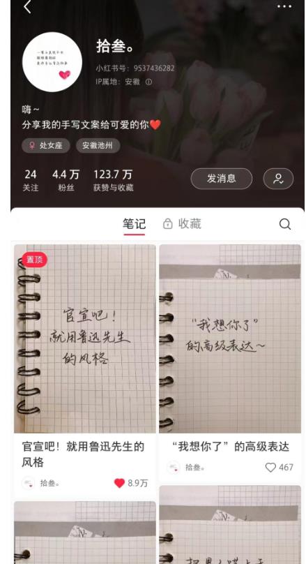 图片[2]-AI批量制造小红书爆款笔记+小红书无货源，玩法一条龙实操，小白也能轻松日入500+【揭秘】-副业网