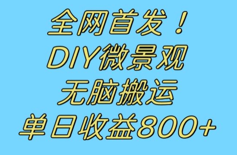全网首发冷门赛道！DIY微景观，无脑搬运视频，日收益800+【揭秘】-副业网