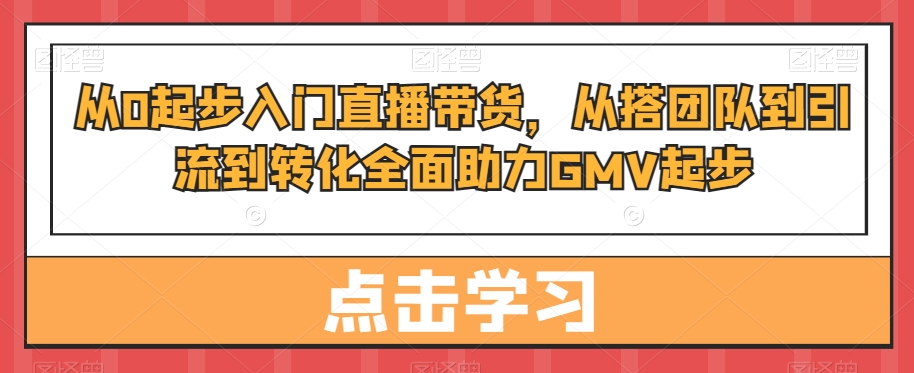 从0起步入门直播带货，​从搭团队到引流到转化全面助力GMV起步-副业网