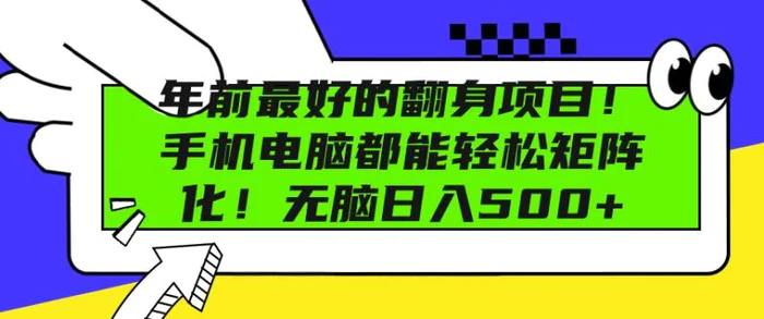 年前最好的翻身项目，手机电脑都能轻松矩阵化，无脑日入多张-副业城