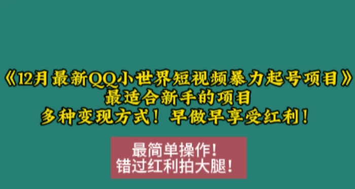 12月最新QQ小世界短视频暴力起号项目，最适合新手的项目，多种变现方式-副业城