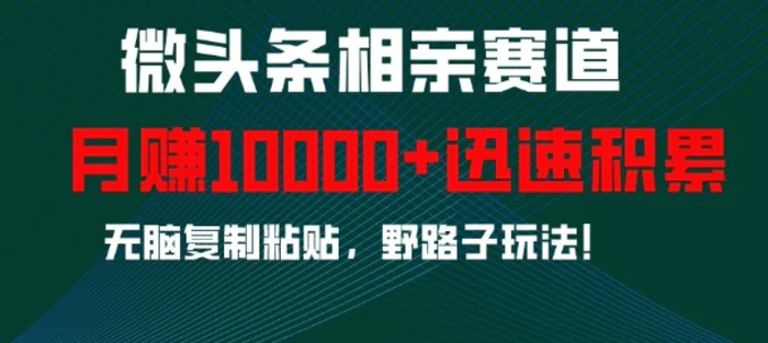 微头条相亲赛道，迅速积累，无脑复制粘贴，野路子玩法，月入1w-副业网