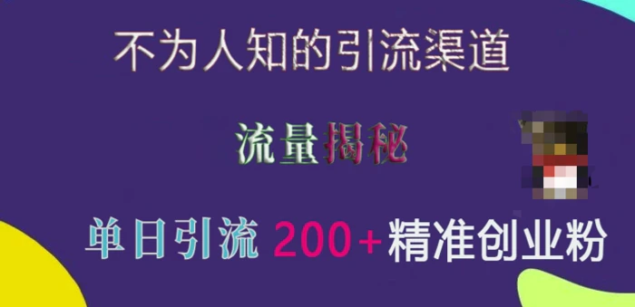不为人知的引流渠道，流量揭秘，实测单日引流200+精准创业粉-副业网
