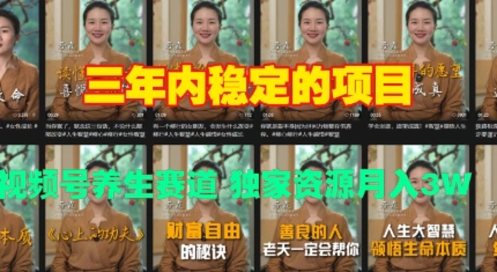 三年内稳定的项目 视频号养生赛道 独家资源月入过W-副业城