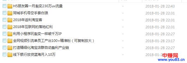 图片[3]-（888期）逐鹿琅琊会2018高手汇聚分享会：8个项目-最少一个月能赚5万-10元-副业城